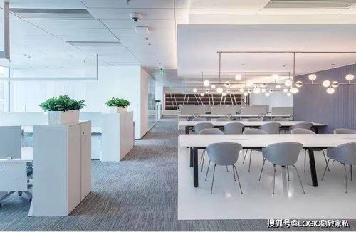 励致家私 未来办公方式新探索，重塑高效与人性化的办公服务